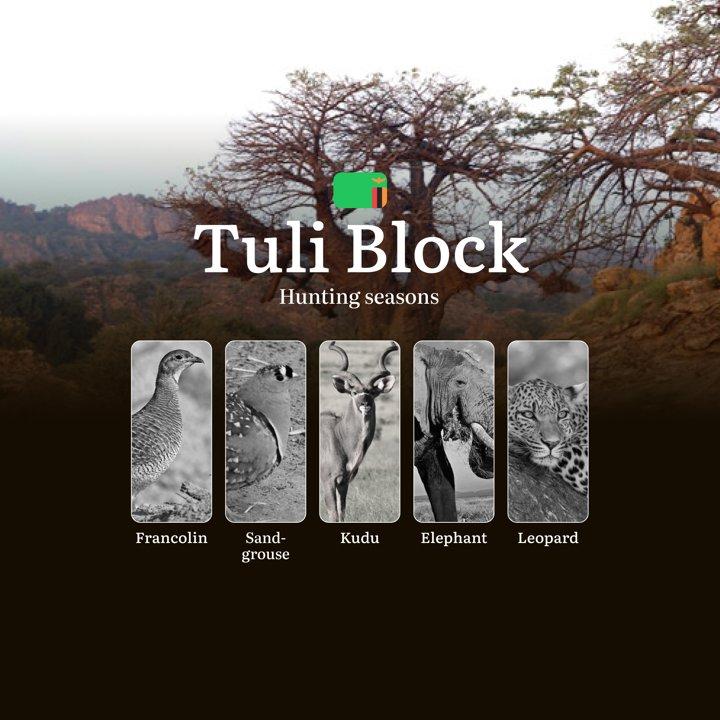 Seasons of the Hunt: Mastering the Rhythms of Tuli Block’s Premier Hunting Grounds in Zambia