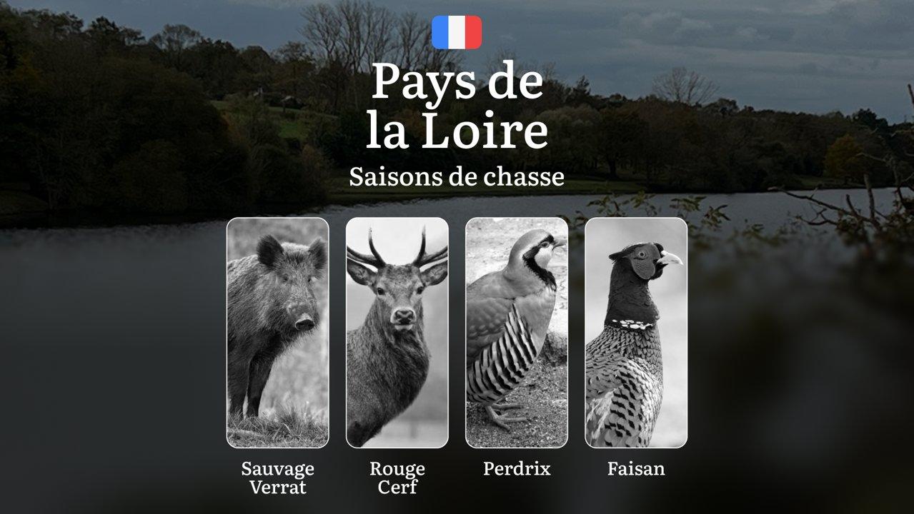 Saisons de chasse en PAYS DE LA LOIRE: Calendrier Complet, Réglementation Détaillée et Conseils Pratiques 