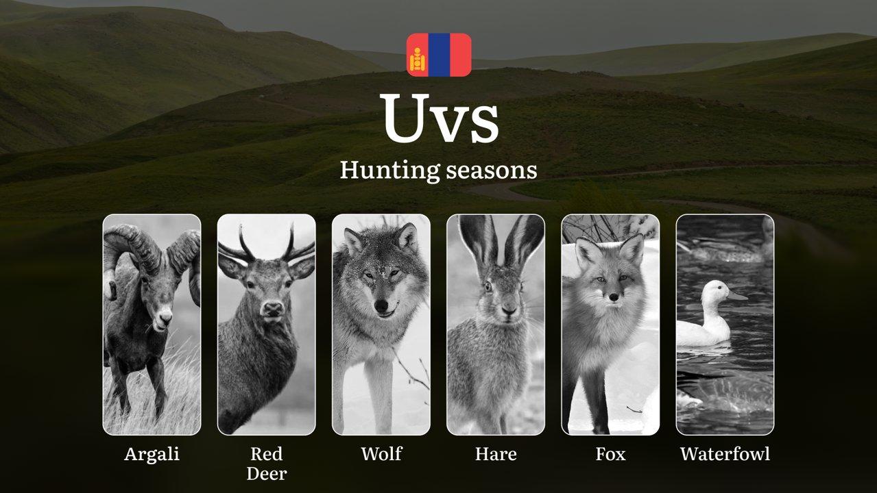 Hunting Dates in Uvs Province: Seasonality of Hunting, Timing and Regulations, Hunting Permits, Restrictions and Prohibitions