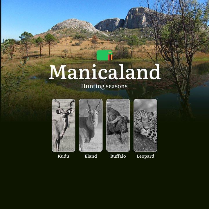 Seasons of the Chase: Hunting Calendar, Regulations and Prime Opportunities in Zambia's Manicaland Region

 General Hunting Rules and Timings in Manicaland Region

The of