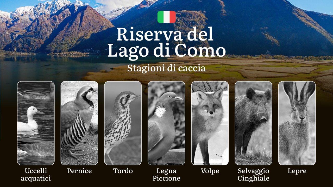 Caccia nella Riserva del Lago di Como: Normative, Periodi e Consigli per i Cacciatori