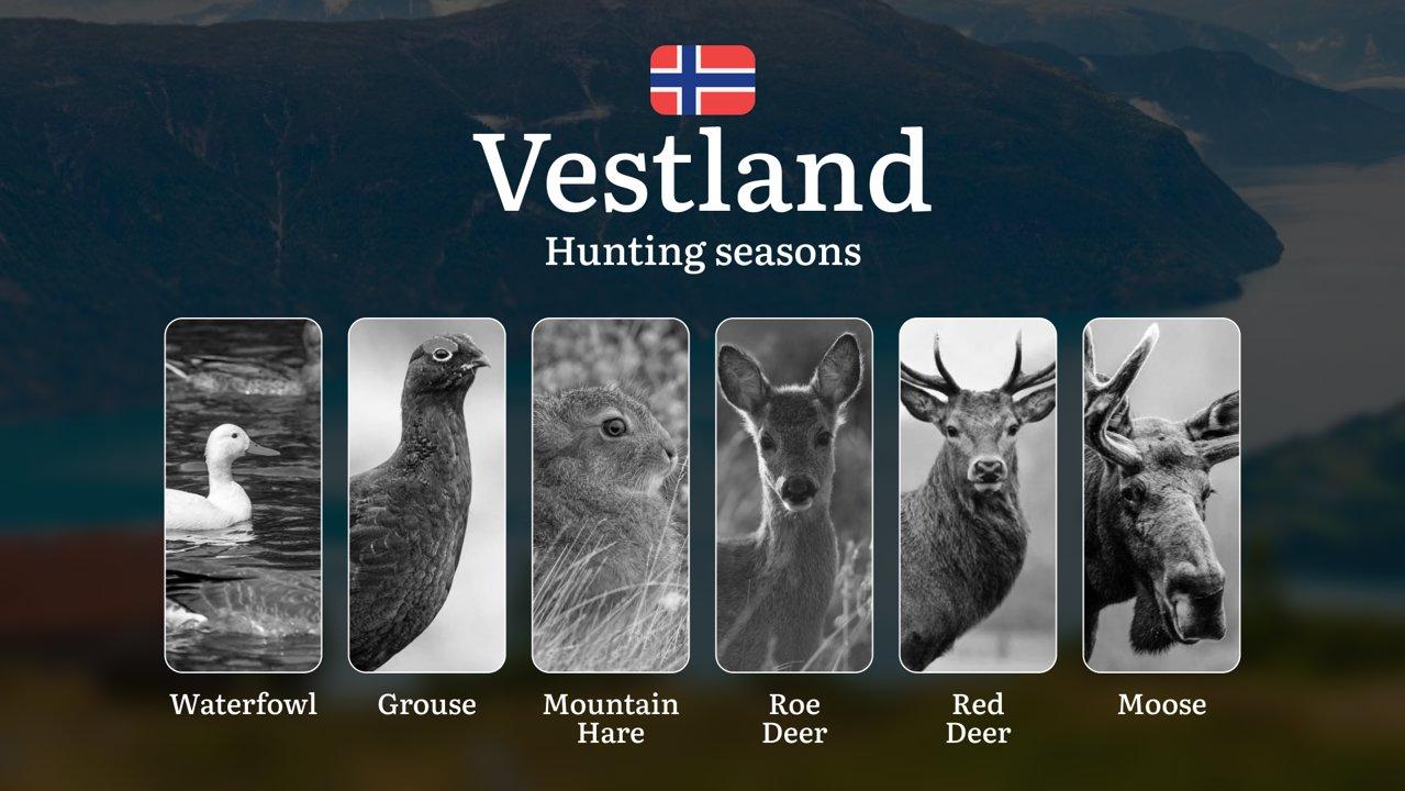 Hunting Periods and Local Rules in Vestland: Species You Can Hunt Throughout the Year, Seasonal Activity of Game, and the Steps to Get a Legal Hunting License in the Regi