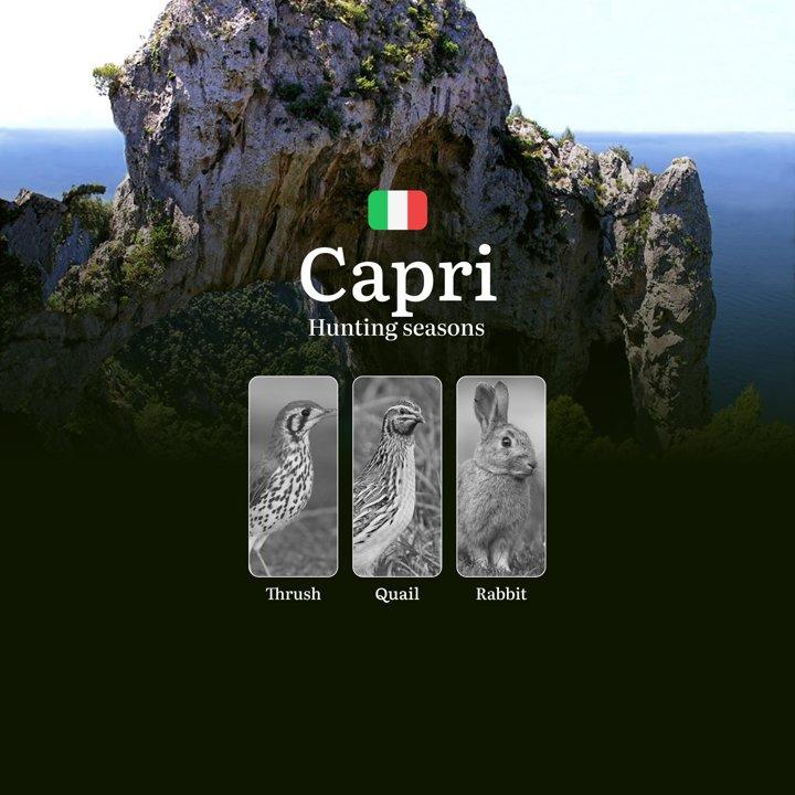Capri's Hunting Laws: Seasonal Calendar, Permanent No-Hunt Zones, and Emergency Wildlife Exceptions