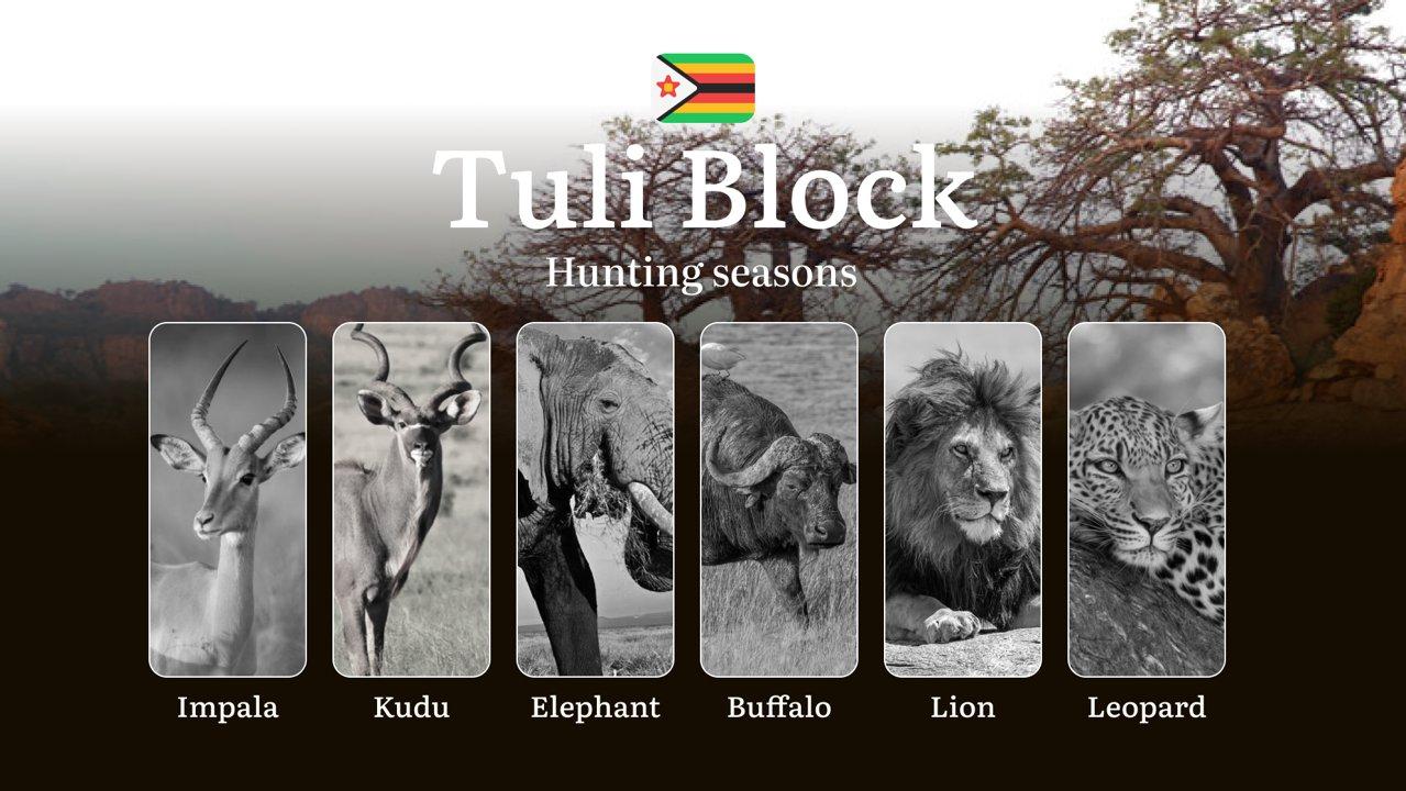 Seasons of Hunting in Zimbabwe’s TULI BLOCK: Hunting Periods, Licenses, Rules, and Times for Hunting, Documents and Organization Support

Hunting Periods in Tuli Block, C