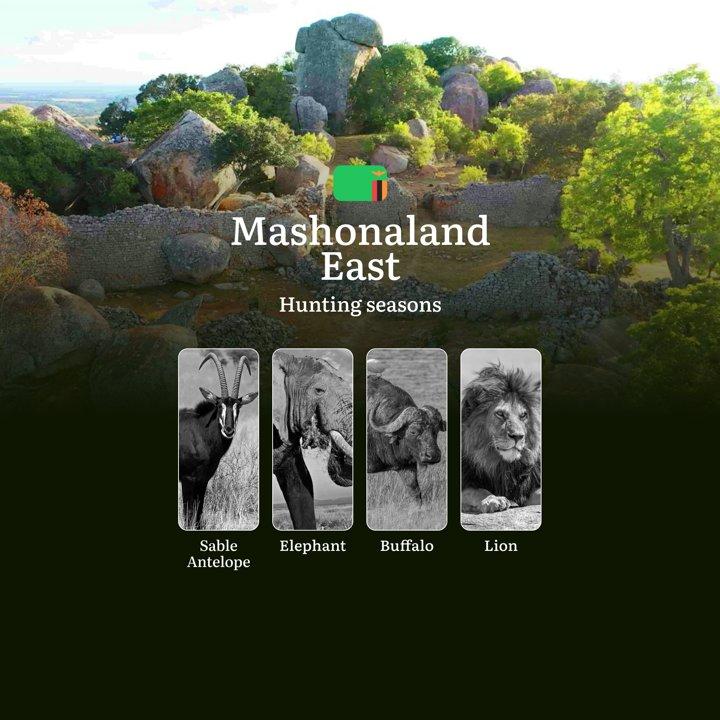 When the Bush Awakens: Hunting Seasons, Prime Times and Conservation Practices in Zambia's Mashonaland East
 
General Hunting Rules and Timings in Mashonaland East Region