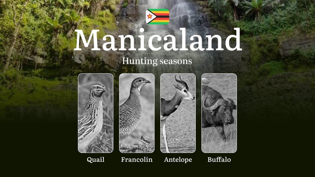 Seasons of Hunting in MANICALAND, Zimbabwe: Hunting Periods, Licenses, Rules, and Times, Penalties for Violating Hunting