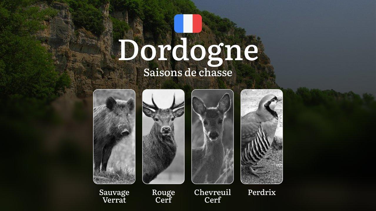 Saisons de chasse en DORDOGNE: Calendrier, Réglementation Générale, Périodes d’Interdiction et Conseils Pratiques
