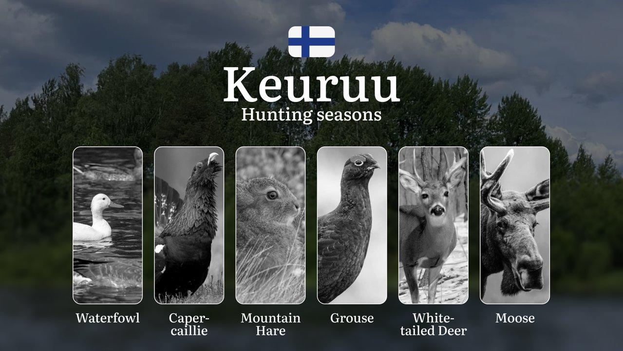 Hunting Seasons in KEURUU: Optimal Hunting Periods, Required Licenses, Legal Consequences, Crucial Regulations and Restrictions

Nestled in the heart of Finland's picture
