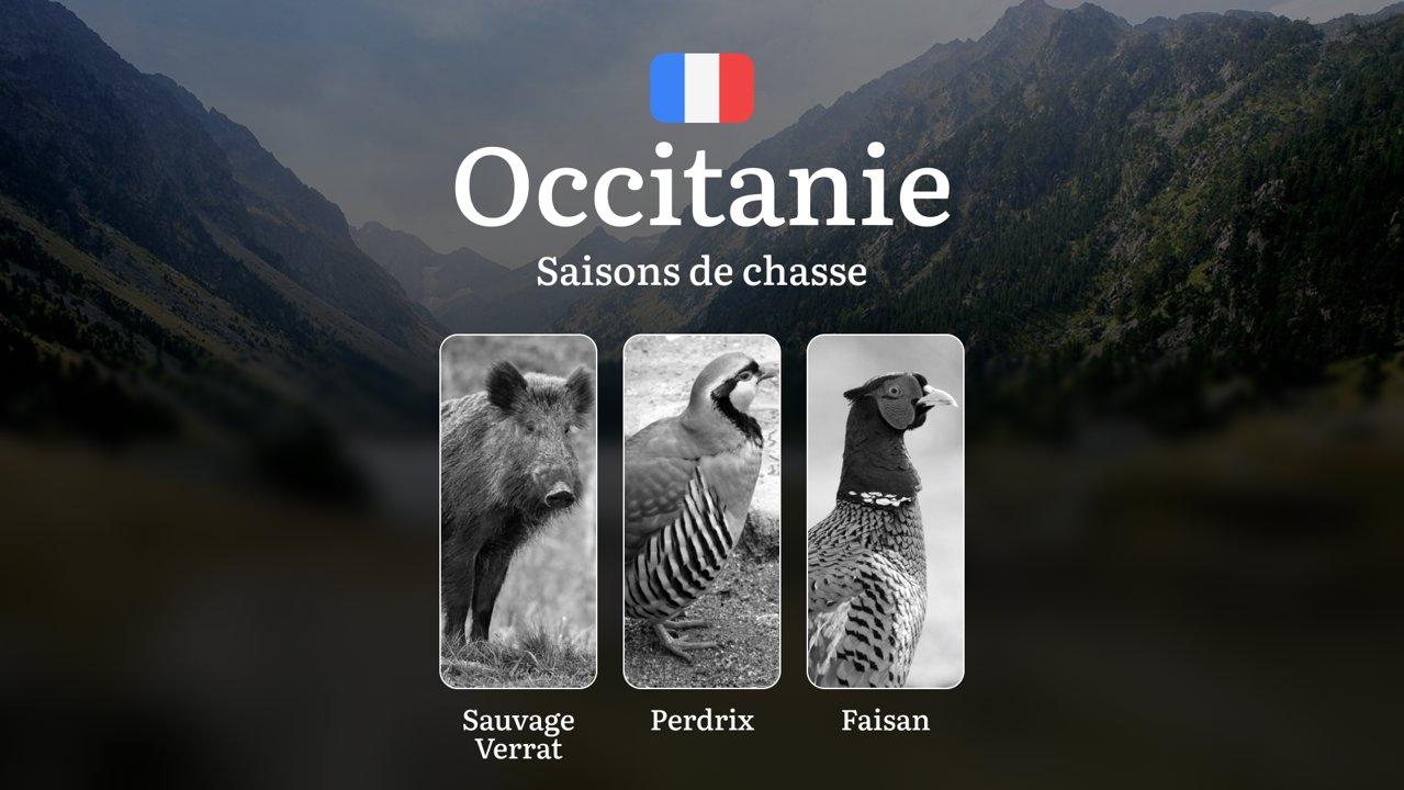 Saisons de Chasse en OCCITANIE: Dates Officielles, Spécificités Saisonnières, Réglementations Locales et Stratégies Optimales