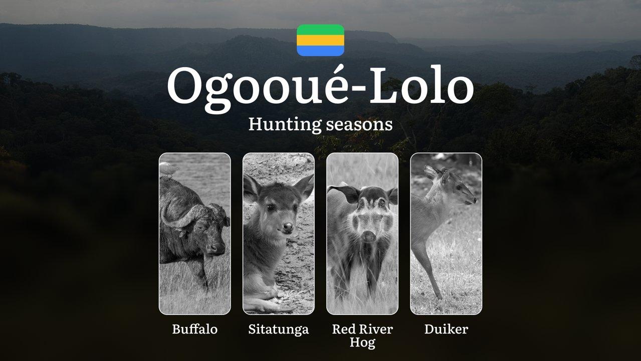 <strong>Hunting</strong> Seasons in OGOOUÉ-LOLO: Key Dates, Optimal <strong>Hunting</strong> Periods, Vital Regulations, Practical Tips, Licensing Process and Requirement