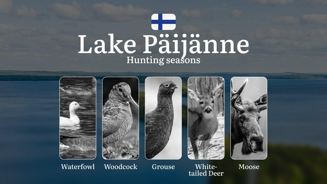 Hunting Seasons in LAKE PÄIJÄNNE:  Core Regulations, General Hunting Rules, Key Timelines, Permit Acquisition Process and Traditional Hunting Events

Lake Päijänne, one o