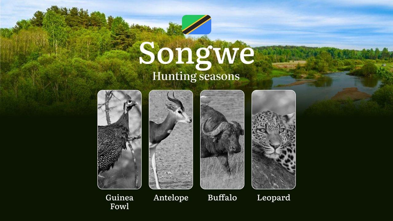 Songwe: Official Hunting Dates, Regulatory Limits and Seasonal Prohibitions, Licensing Rules, Fines and Legal Penalties for Non-Compliance, Strategic Preparation, Timing, Equipment