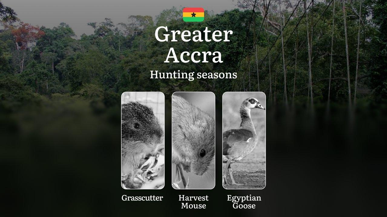 Hunting Calendar in Greater Accra: The Thrill of Hunting Events and Traditions, Legislation & General Hunting Rules and Permits