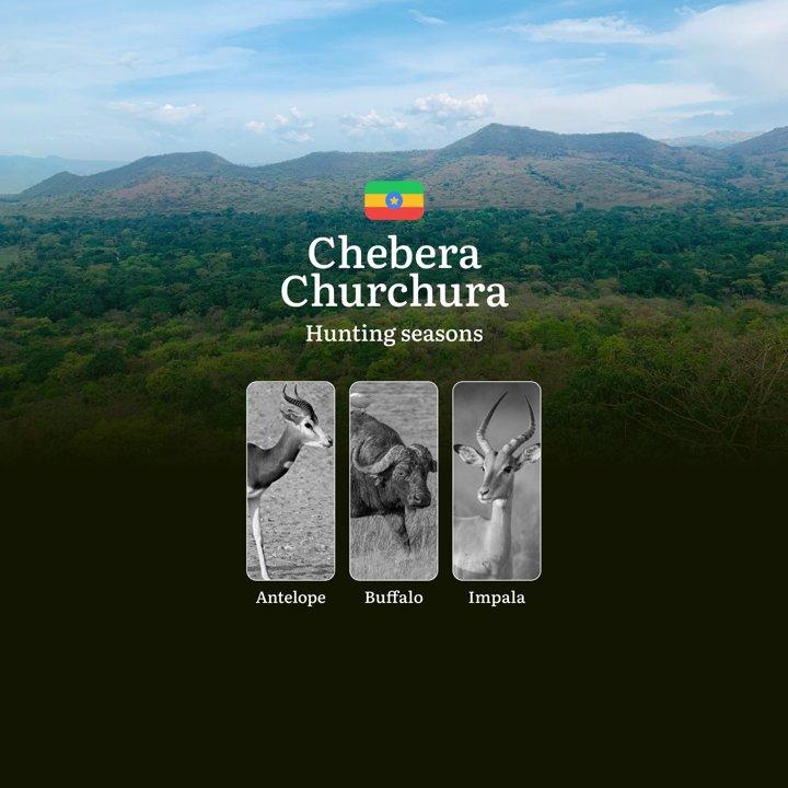 Hunting Seasons in CHEBERA CHURCHURA NATIONAL PARK, Ethiopia: Timing, Licenses and Rules for Hunting, Tips for Hunters and Tactics

Rules and Hunting Periods in Chebera C