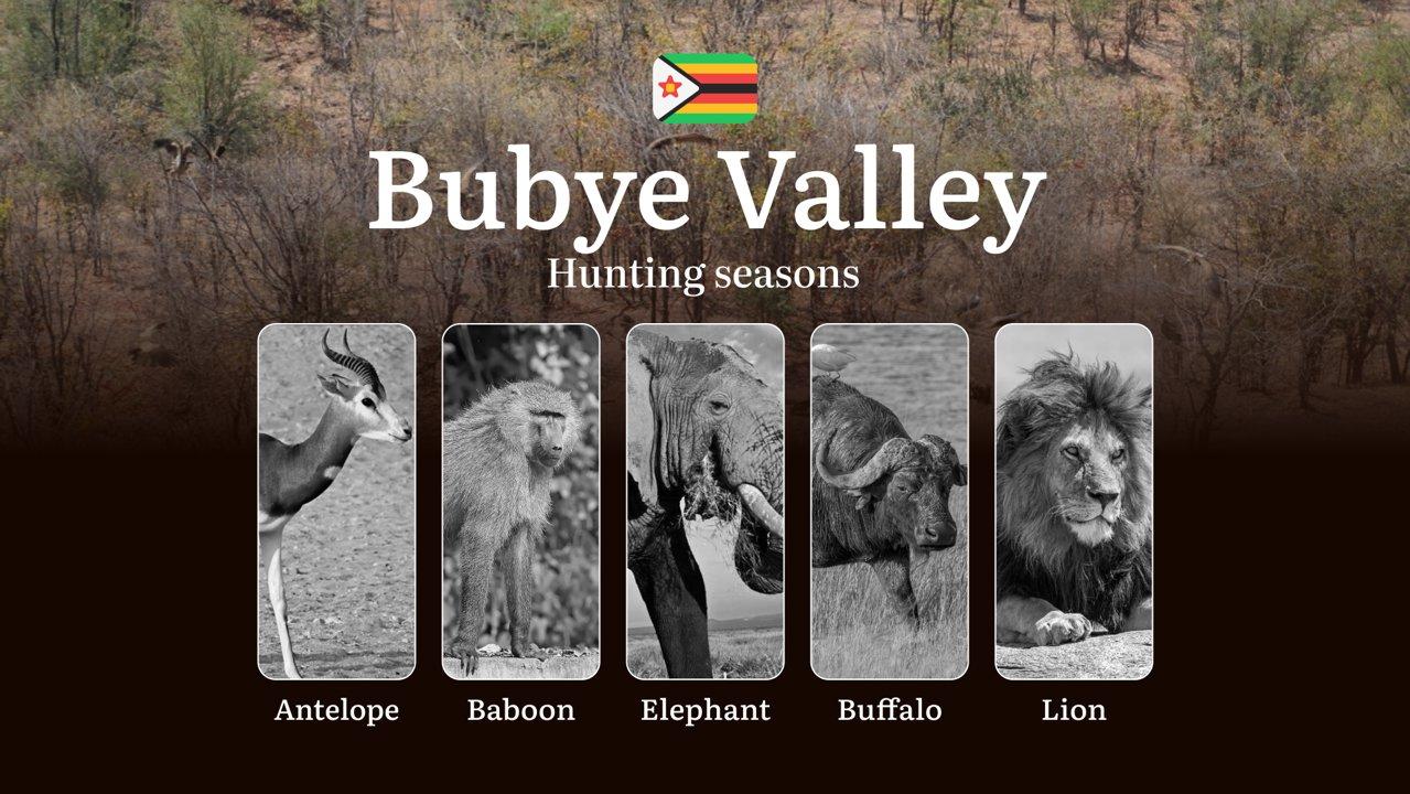 Hunting Seasons in Zimbabwe’s BUBYE VALLEY: Hunting Periods, Opening and Closing Dates, Licenses, Rules, and Times for Hunting

Hunting Rules and Seasons in Bubye Valley
