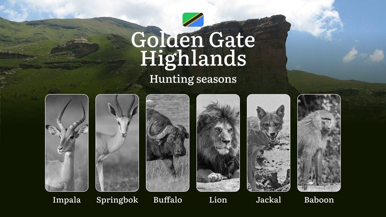 Seasons of Hunting in Golden Gate Highlands, South Africa: Seasonality of Hunting, Restrictions and Bans, Tips for Experienced Hunters