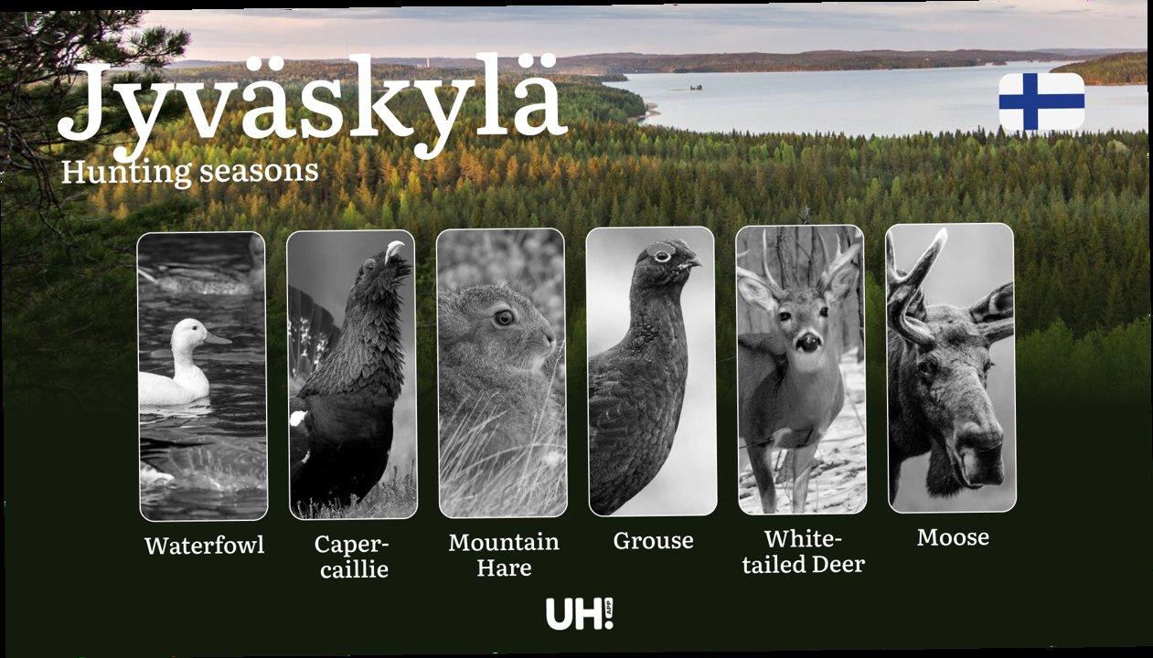 Hunting Seasons in JYVÄSKYLÄ: Main Hunting Periods, Modern Regulations, Required Documents and Practical Recommendations