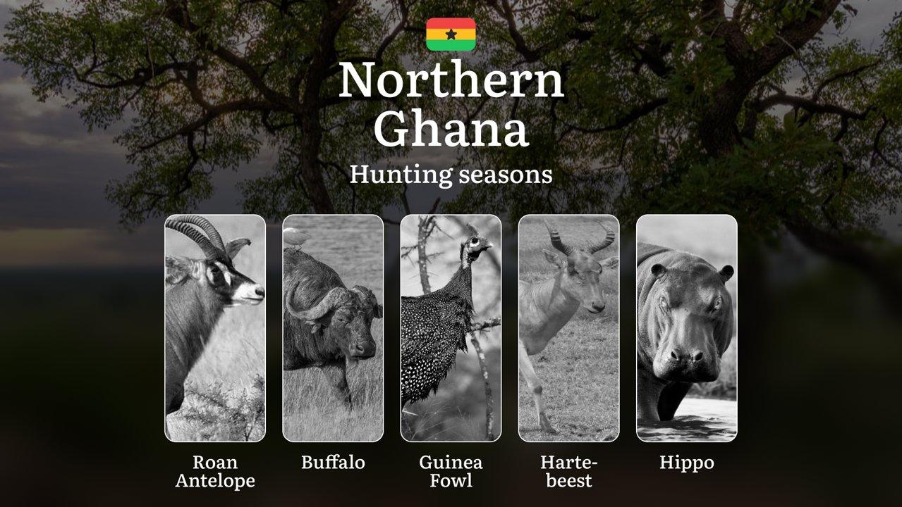 Hunting in Northern: Understanding Hunting Calendar, Legal Permits and Restrictions, Local Hunting Traditions
