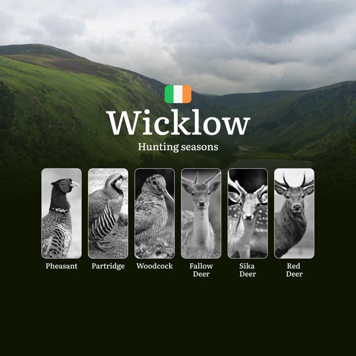 When the Land <strong>Stirs</strong>: Hunting Seasons, Calendar, Wildlife Cycles, and Traditions in WICKLOW

Understanding Hunting Seasons and Wildlife Management in Coun