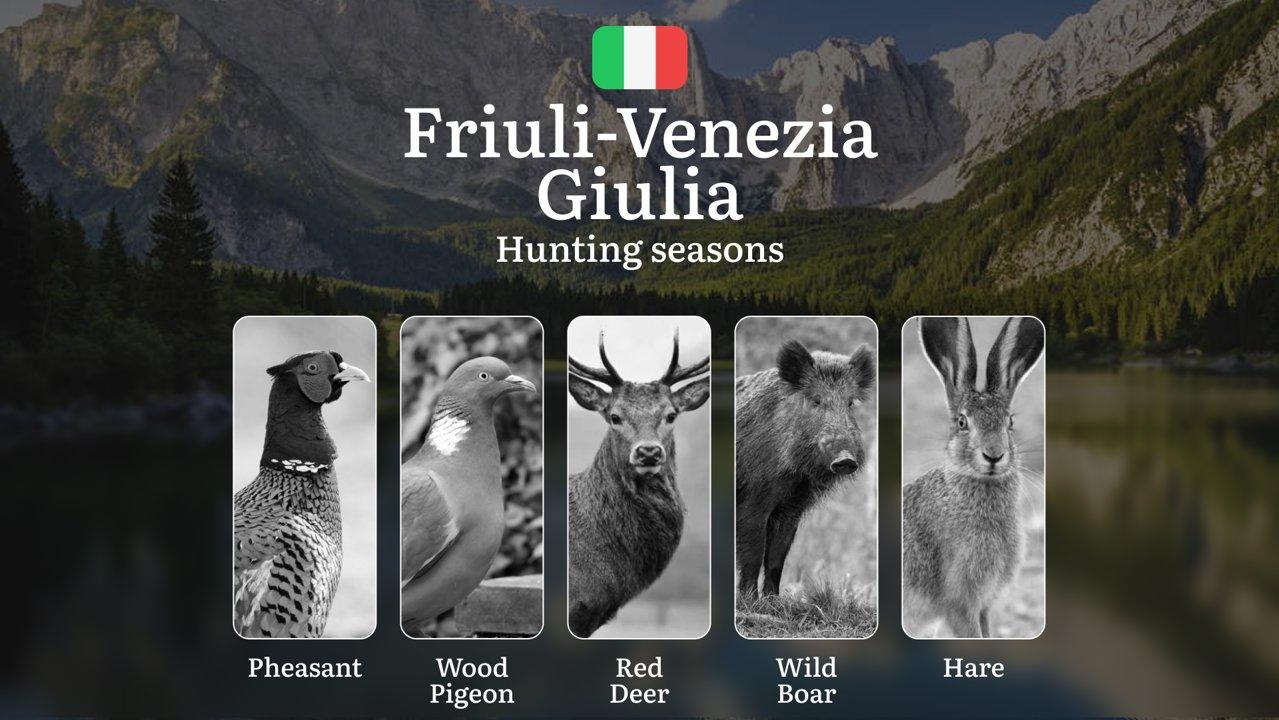 Friuli-Venezia Giulia Calendar: Lagoon Hunting Seasons from Adriatic Marshes to Alpine Streams

 Regulation and Hunting Periods in Friuli-Venezia Giulia

The hunting seas