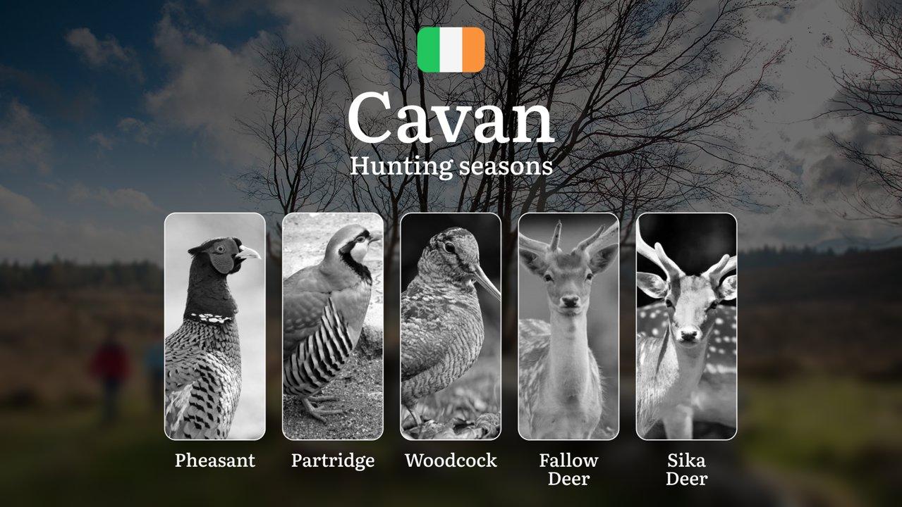 Nature’s Calendar: Mastering the Rhythms of Hunting Seasons, Migrations, and Estate Shoots in Rural CAVAN