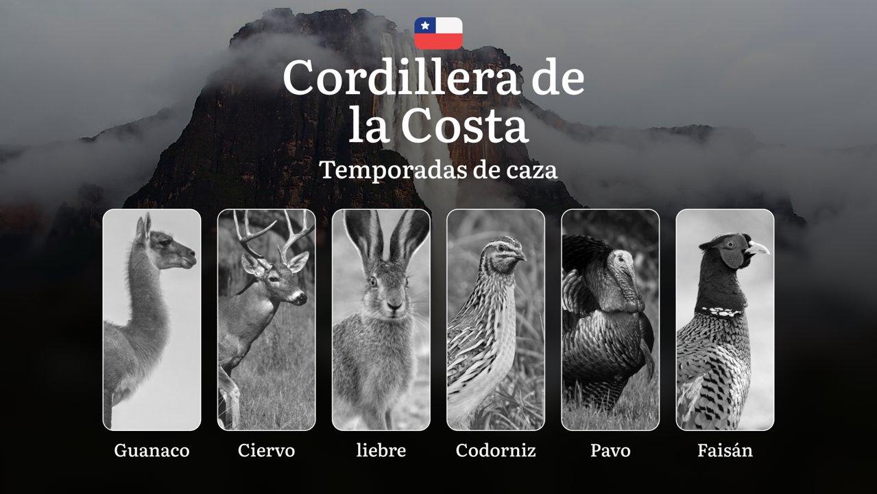 Temporadas de caza en la región de La Cordillera de la Costa (Chile): normas, fechas y particularidades de caza