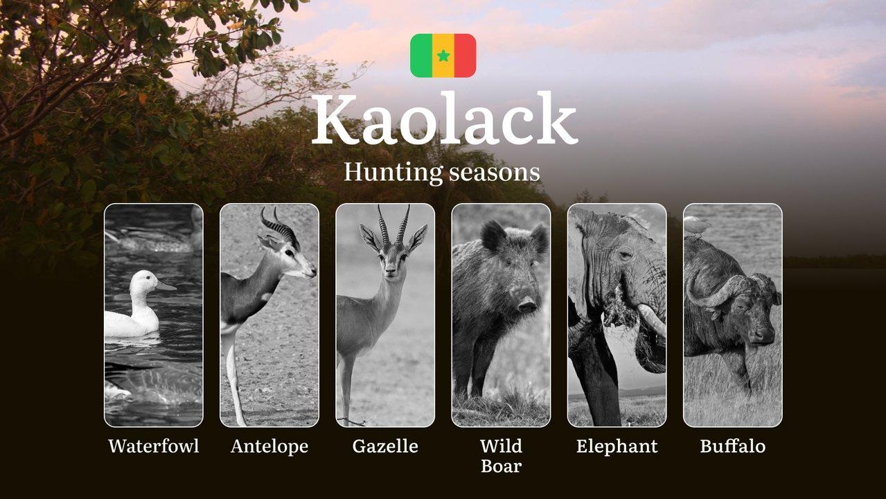 Seasons of Hunting in Senegal, the KAOLACK Region: Time and Dates, Restrictions and Prohibited Species, Tips for Choosing the Right Location