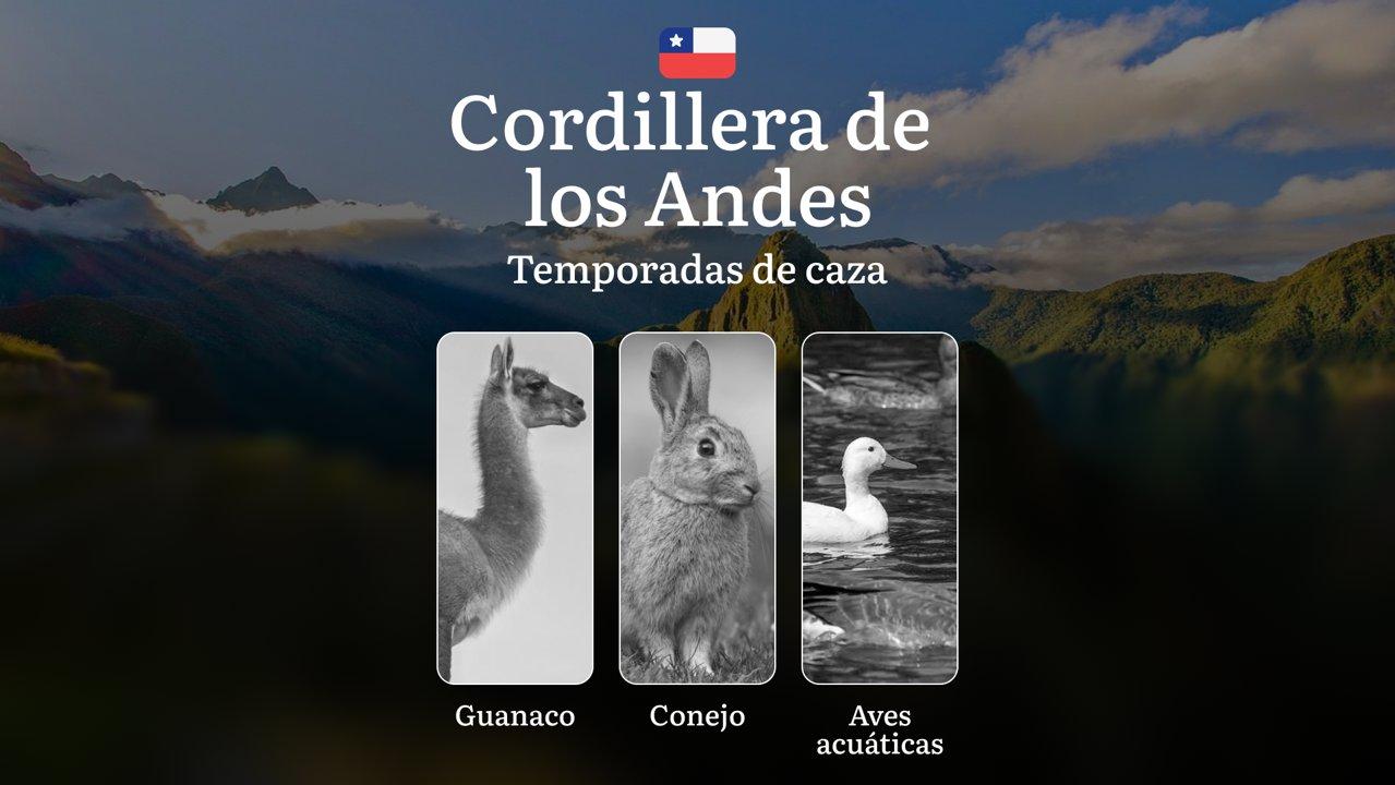 Fechas de caza en la región de La Cordillera de los Andes (Chile): épocas de caza, permisos y particularidades, táctica, equipamiento y elección del momento 