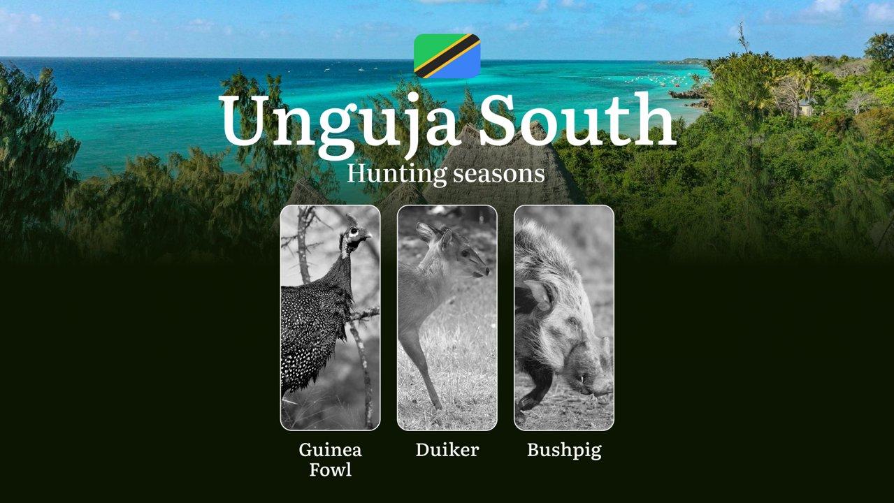 Hunting Calendar for Unguja South: Prime Times for Big and Small Game, Restricted Areas, Regulations and Exemptions, Obtaining Your Hunting Permit, Equipment, Locations, and Optimal Timing