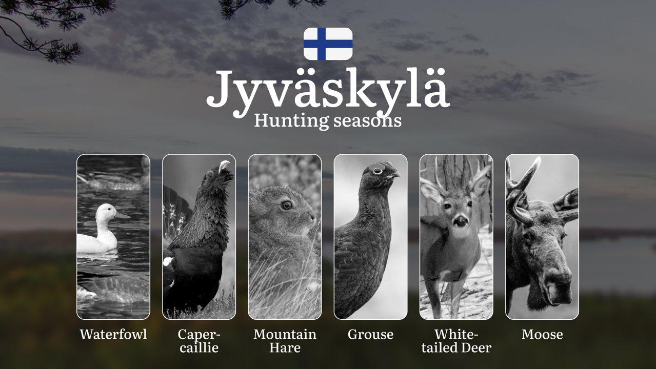 Hunting Seasons in JYVÄSKYLÄ: Main Hunting Periods, Modern Regulations, Required Documents and Practical Recommendations

Jyväskylä's unique position in Finland's Lakelan