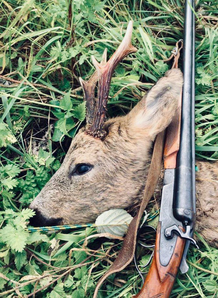 ТОЗ-54: охотничье ружьё с внешними курками — обзор, отзывы, характеристики, история.