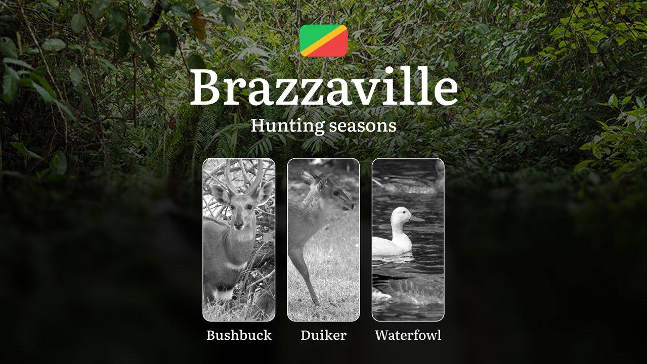 Hunting Timing in Brazzaville Region, Republic of the Congo: Hunting Periods, Open and Close Dates, Licenses, Rules, and Natural Features for Hunting