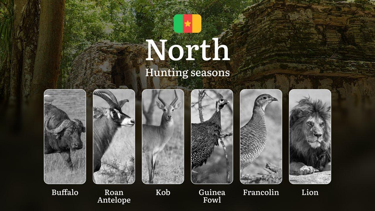 Hunting Laws and Seasons in North: General Hunting Rules, Permits, Restrictions & Time-Honored Events 