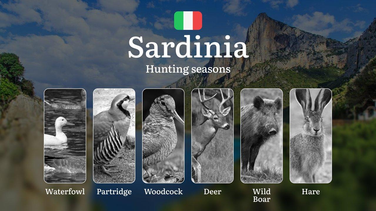 Sardinia's Wild Boar Hotspots: Moonlight Hunting Dates in the Gennargentu Mountain Strongholds, Tips and Secrets

Regulation and Hunting Periods in Sardinia

Sardinia’s h