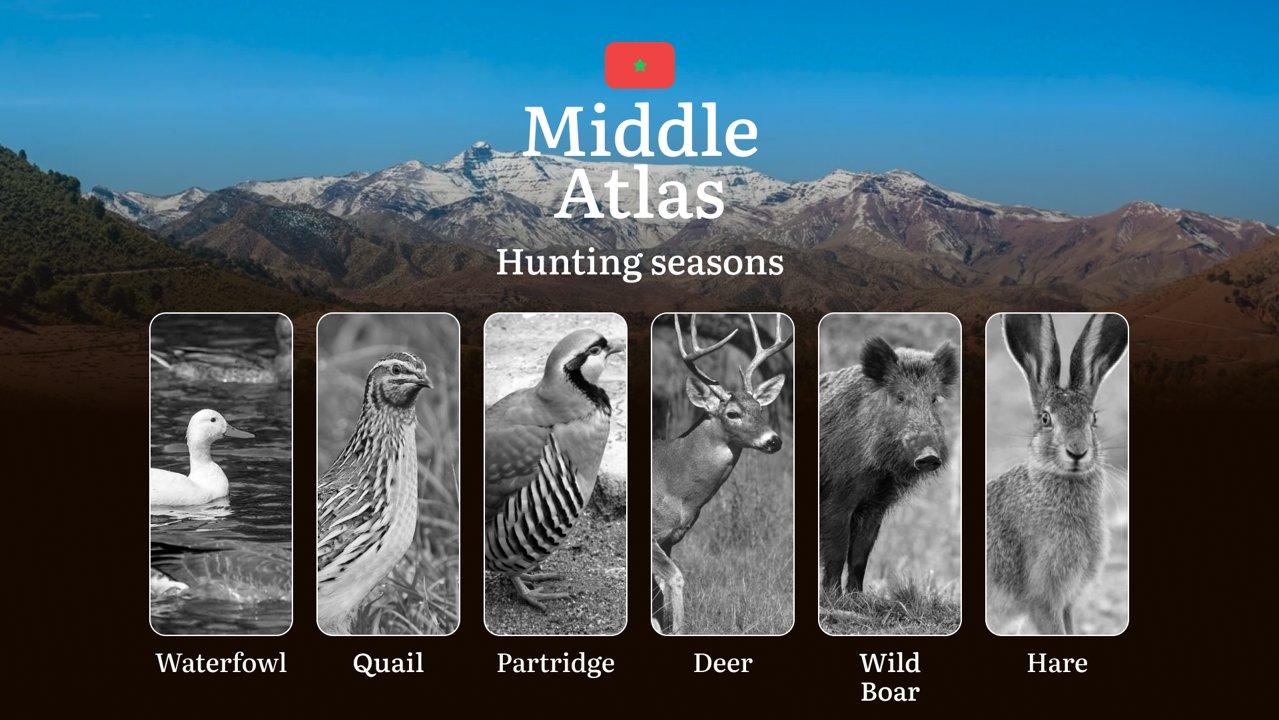Hunting Seasons in Middle Atlas: Restrictions, Bans, and Protected Species, Choosing Timing, Gear, and Tactics