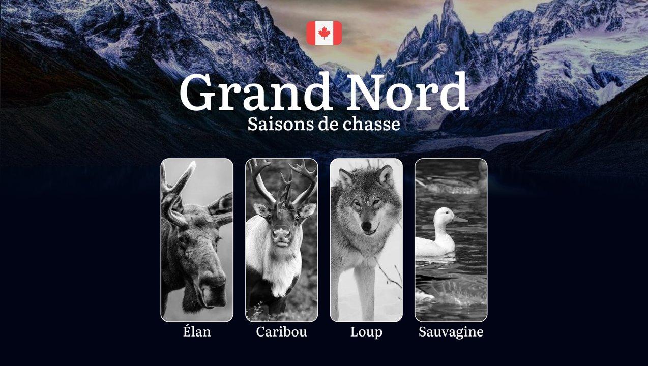 Les périodes de chasse au GRAND NORD canadien: calendrier complet, réglementations essentielles et stratégies éprouvées 