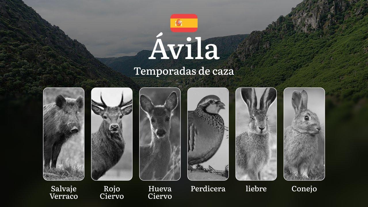 Temporadas y períodos de caza en ÁVILA: Fechas Clave, Regulaciones y Épocas Ideales para la Práctica Cinegética en Castilla y León