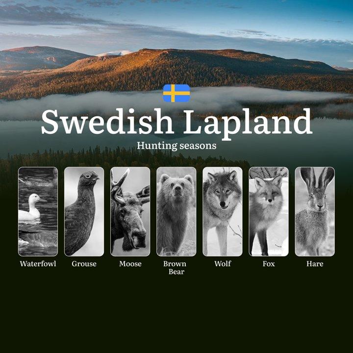 Hunting Periods in SWEDISH LAPLAND: When and What You Can Hunt, Seasonal <strong>Game</strong> Patterns, and Everything You Need to Know to Obtain a Valid Hunting License