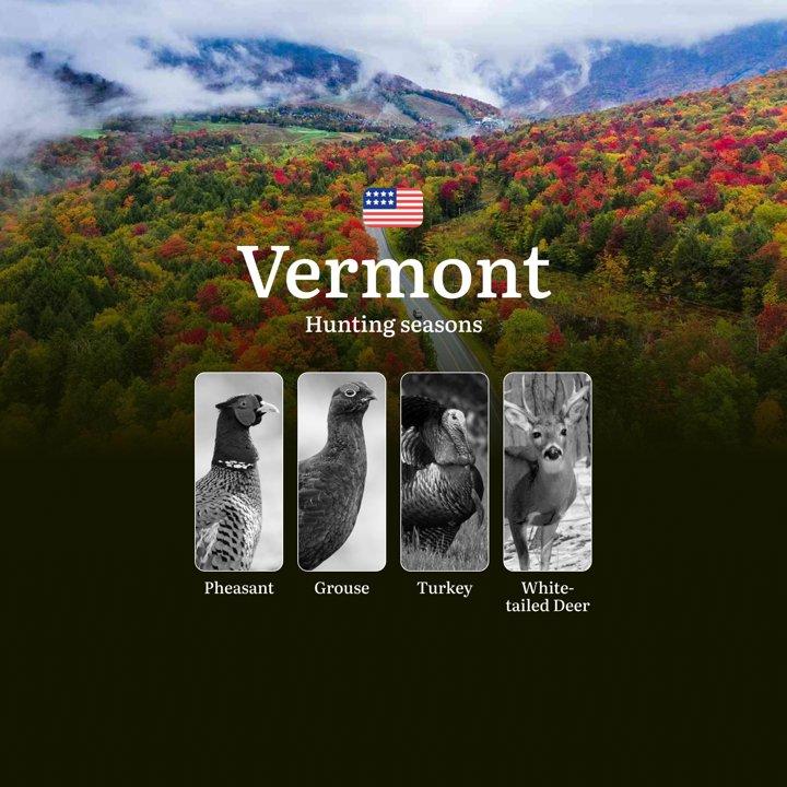 Hunting Seasons in Vermont, USA: Muzzleloader Seasons, Opening and Closing Dates, Licenses, Rules and Seasonality