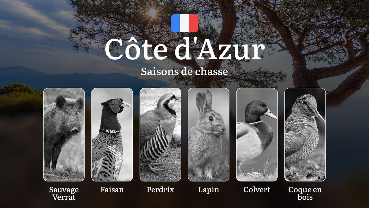 Périodes de Chasse en CÔTE D’AZUR: Dates Officielles, Permis Requis, Règles Locales et Sanctions pour Non-Respect des Règles
