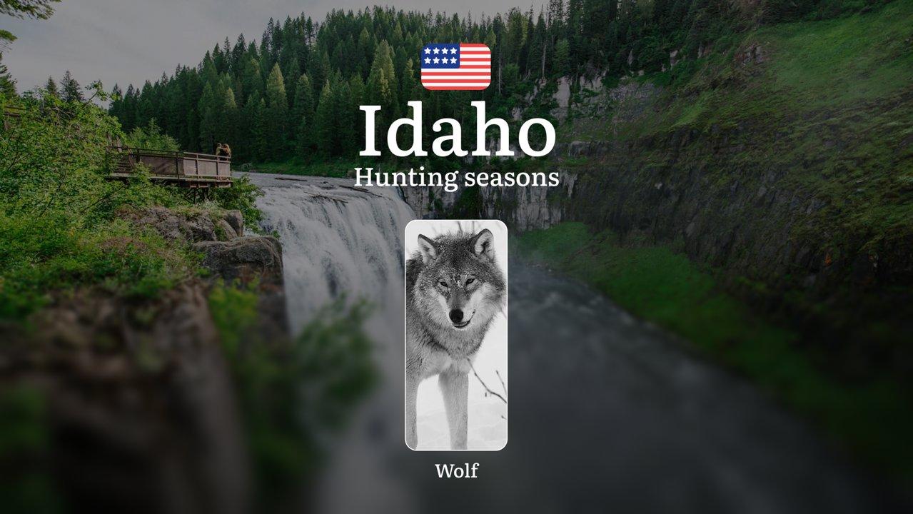 Idaho: Hunting Seasons and Dates, Licenses, and Tactics, Restrictions and Prohibited Activities, Animal Activity