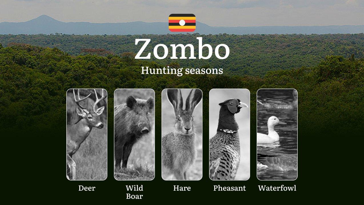 Permitted Hunting Intervals in Zombo: Year-Round Huntable Wildlife, Seasonal Migration of Game, and the Process for Securing a Legal Hunting Permit