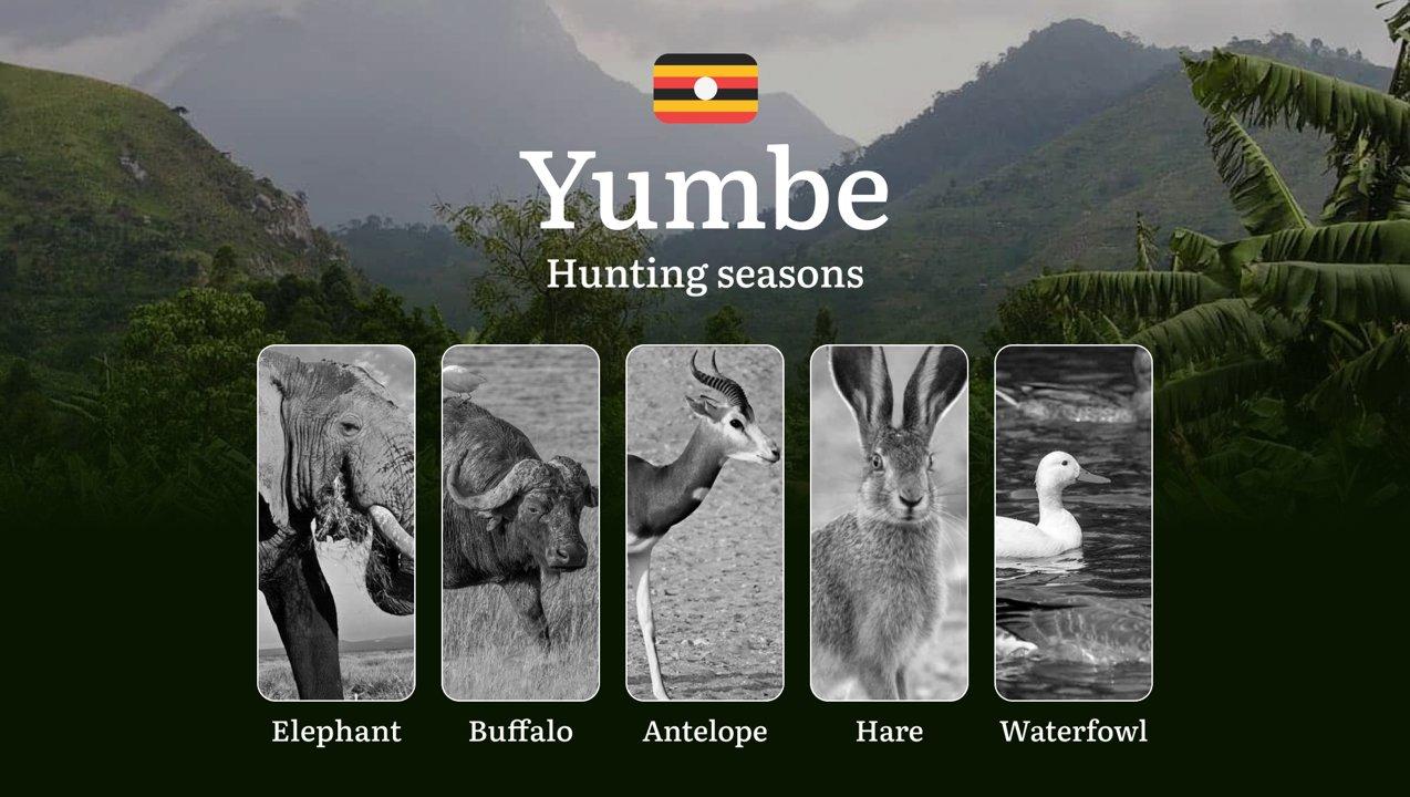 Hunting Access Dates in Yumbe: Key Hunting Periods for All Species, Restricted Areas, Rules and Exceptions, Getting Your License, Gear, Locations, and Optimal Timing