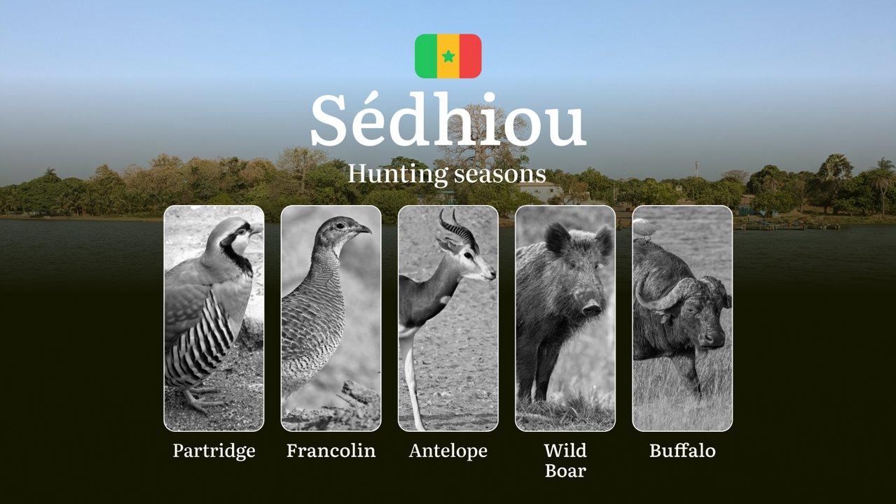 Dates of Hunting in Senegal: Seasons, Natural Features of the SÉDHIOU Region, Responsibility for Violating Hunting, Tips and Tactics