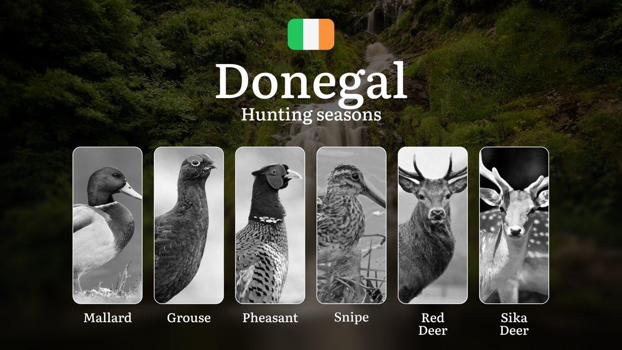 Unlocking the Wild: Hunting Seasons, Licenses, and Prime Times for the DONEGAL Wilderness