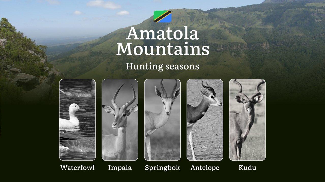 Hunting Seasons in the Amatola Mountains, South Africa: Hunting Periods, Licenses, Rules, and Tips and Tactics for Hunters