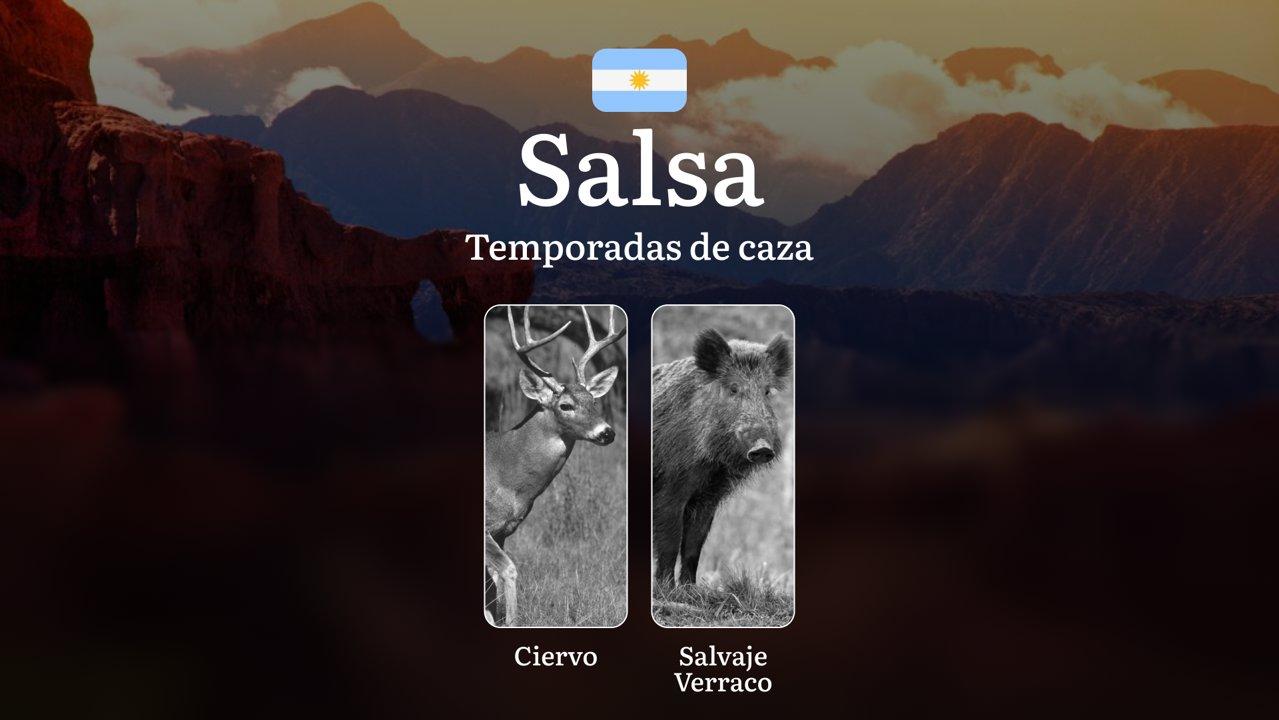 Fechas de caza en Argentina: región Salsa — temporadas, licencias y tácticas de caza, picos de actividad de la fauna
