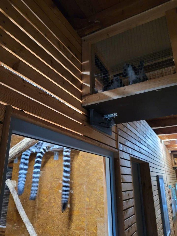 Lemur House in Naturzoo Rheine
