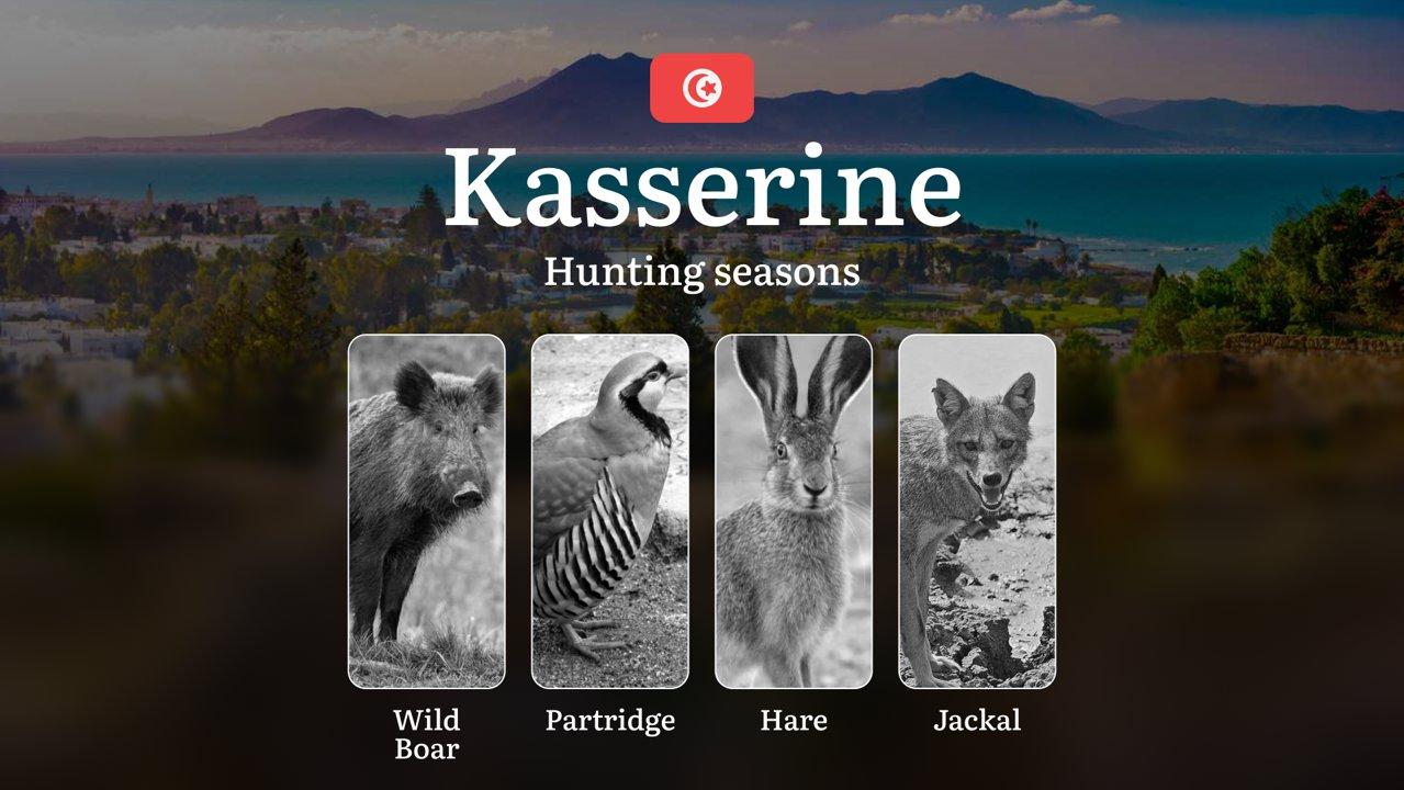 Hunting Seasons in KASSERINE: Seasonal Timing, Game Behavior, Protected Species, Permit Requirements, Crucial Regulations and Penalties for Violating Laws