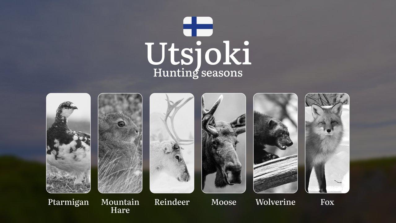 Hunting Seasons in UTSJOKI: Optimal Periods, Licensing Requirements, General Regulations, Restrictions and Prohibitions

Nestled in the northernmost part of Finland, Utsj